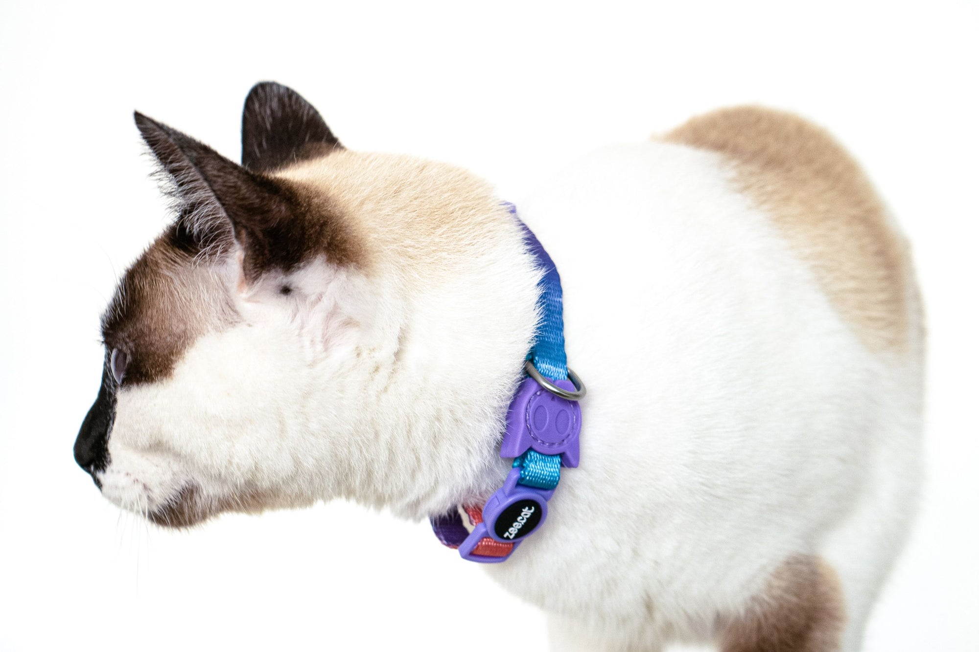 Zee.Cat Collar Prisma 